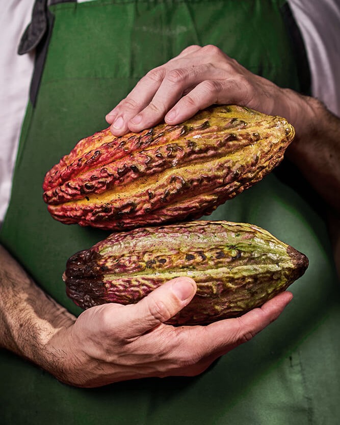 casa cacao monteverde conoce el origen