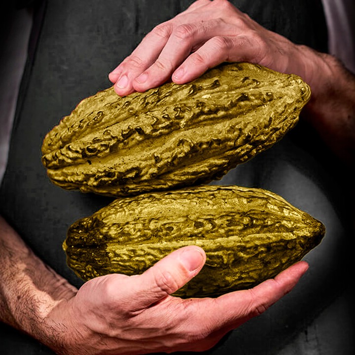 casa cacao monteverde vip boutique