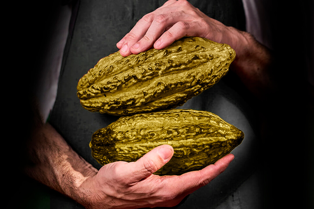 casa cacao monteverde vip boutique